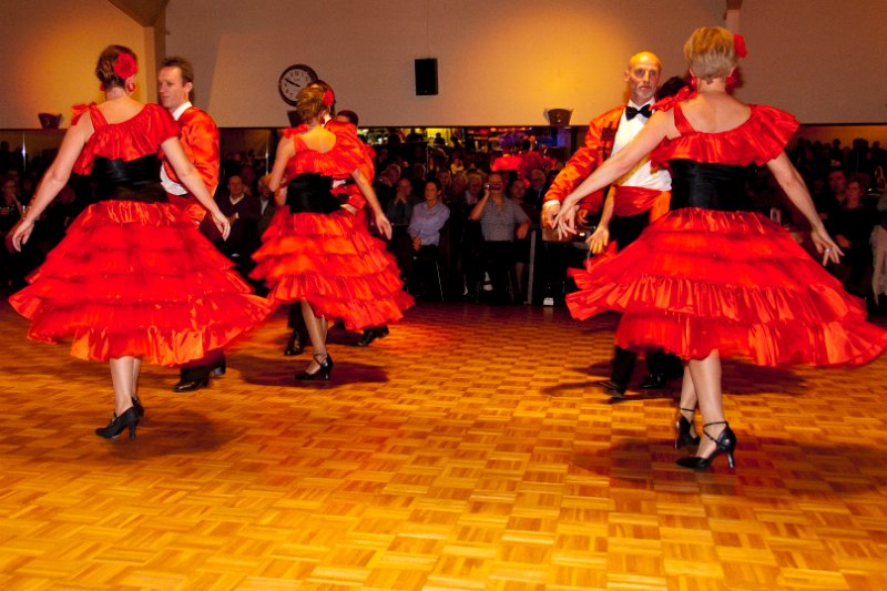 214902_20101120__LAN8377.jpg