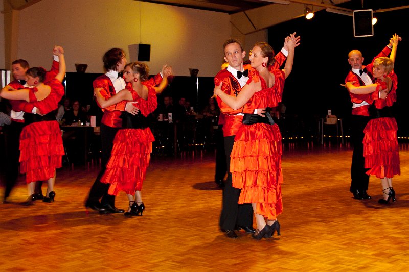 214935_20101119__LAN8041.jpg