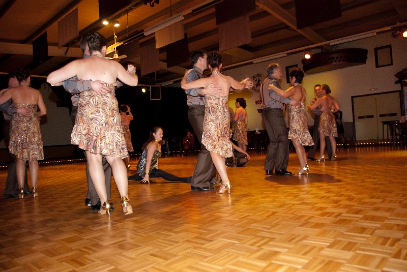 225453_20101119_DSC_2071.jpg