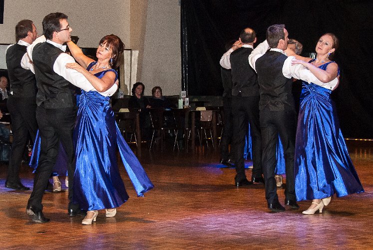 Licensetodance13.jpg