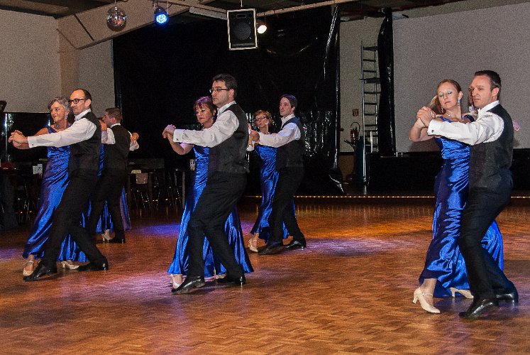 Licensetodance14.jpg